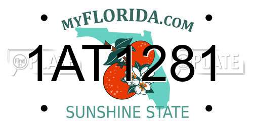 1AT1281 Florida License Plate
