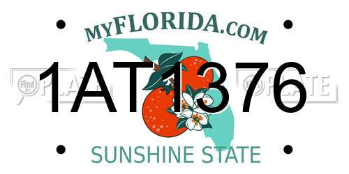 1AT1376 Florida License Plate