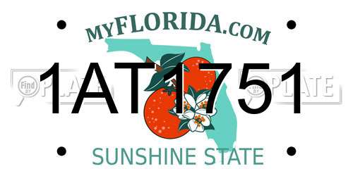 1AT1751 Florida License Plate