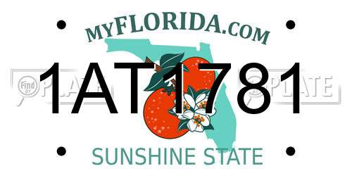 1AT1781 Florida License Plate