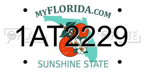 1AT2229 Florida License Plate