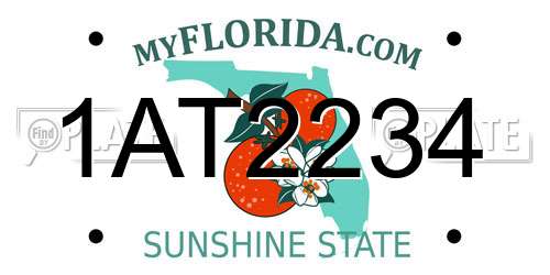 1AT2234 Florida License Plate