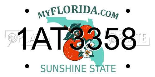 1AT3358 Florida License Plate