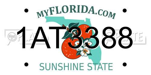1AT3388 Florida License Plate