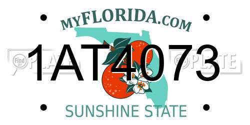 1AT4073 Florida License Plate