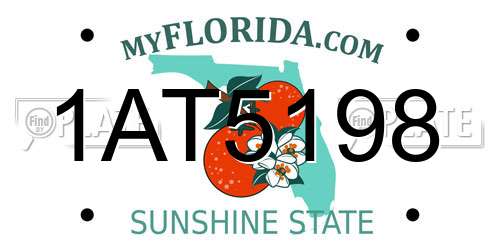 1AT5198 Florida License Plate