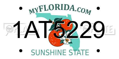 1AT5229 Florida License Plate