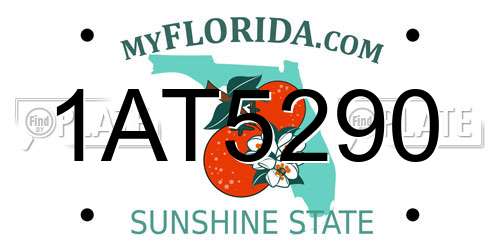 1AT5290 Florida License Plate