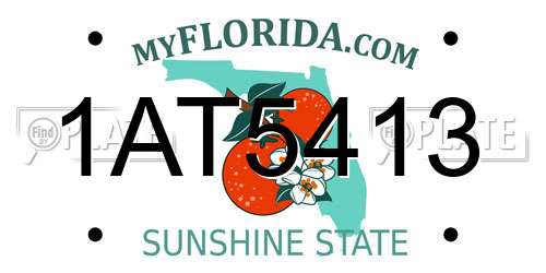 1AT5413 Florida License Plate