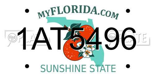 1AT5496 Florida License Plate