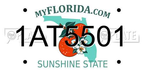 1AT5501 Florida License Plate