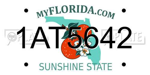 1AT5642 Florida License Plate