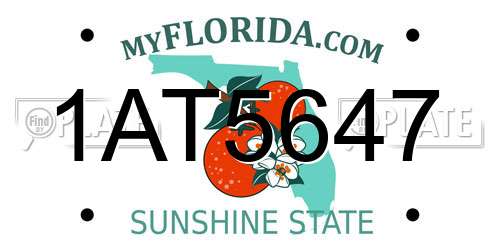 1AT5647 Florida License Plate