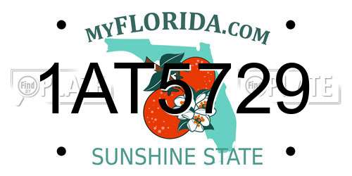 1AT5729 Florida License Plate