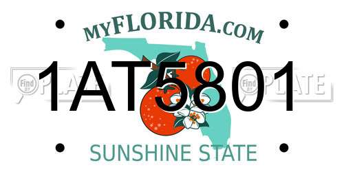 1AT5801 Florida License Plate