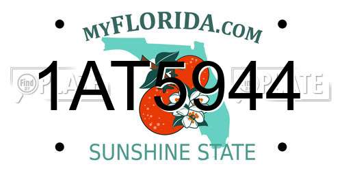 1AT5944 Florida License Plate
