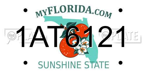 1AT6121 Florida License Plate