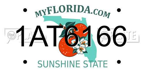 1AT6166 Florida License Plate