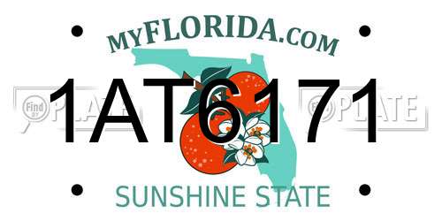 1AT6171 Florida License Plate