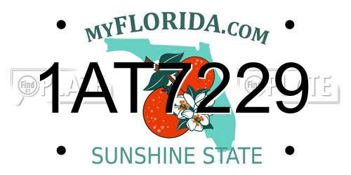 1AT7229 Florida License Plate