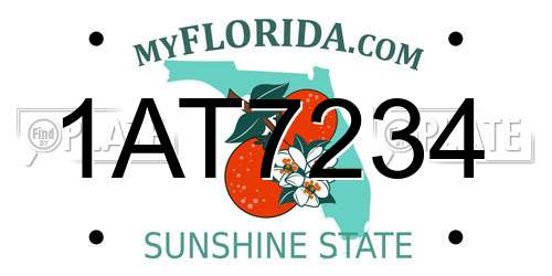 1AT7234 Florida License Plate