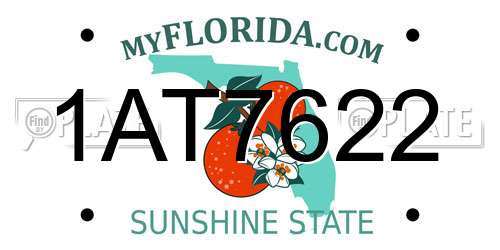 1AT7622 Florida License Plate