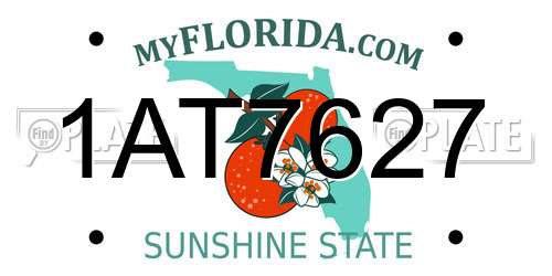 1AT7627 Florida License Plate