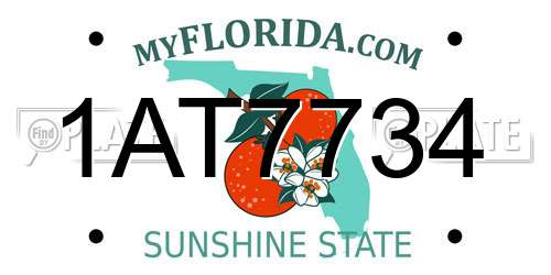 1AT7734 Florida License Plate