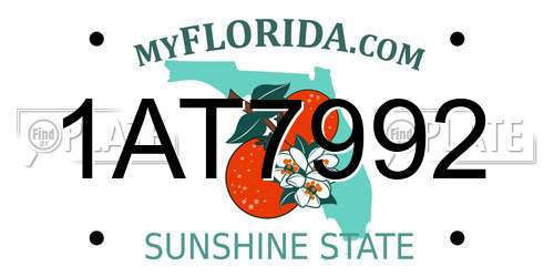 1AT7992 Florida License Plate