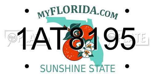 1AT8195 Florida License Plate