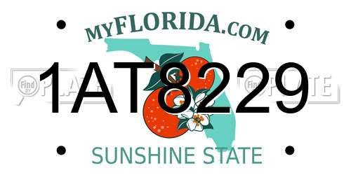 1AT8229 Florida License Plate