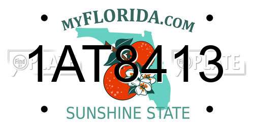 1AT8413 Florida License Plate
