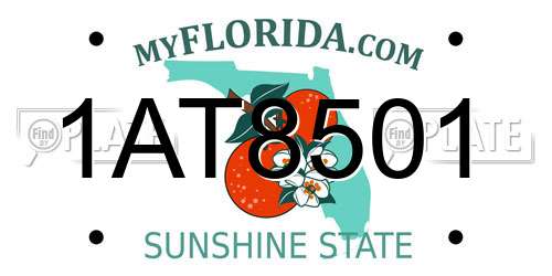 1AT8501 Florida License Plate