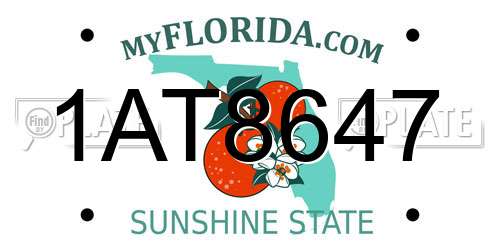 1AT8647 Florida License Plate