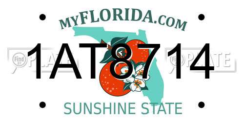1AT8714 Florida License Plate