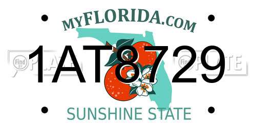 1AT8729 Florida License Plate