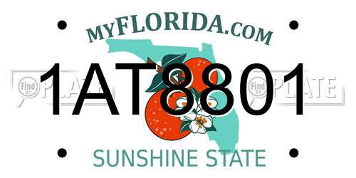 1AT8801 Florida License Plate