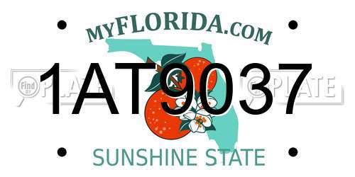 1AT9037 Florida License Plate