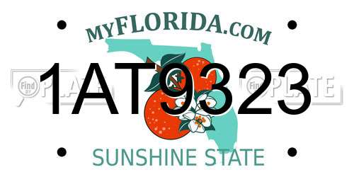 1AT9323 Florida License Plate