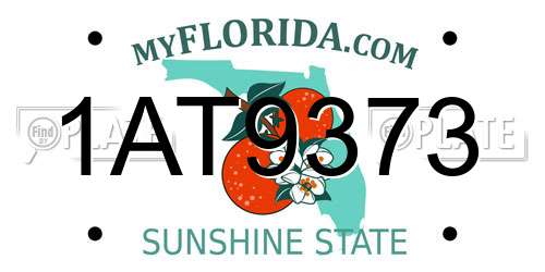 1AT9373 Florida License Plate
