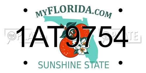 1AT9754 Florida License Plate