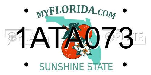 1ATA073 Florida License Plate