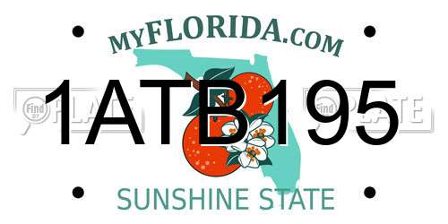1ATB195 Florida License Plate