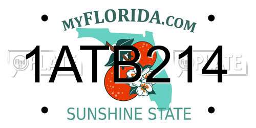 1ATB214 Florida License Plate