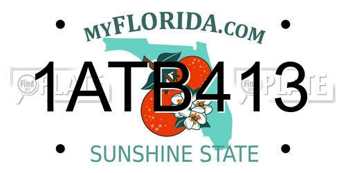 1ATB413 Florida License Plate