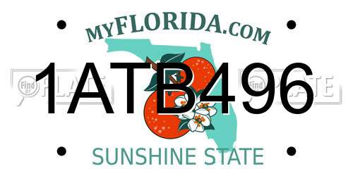 1ATB496 Florida License Plate