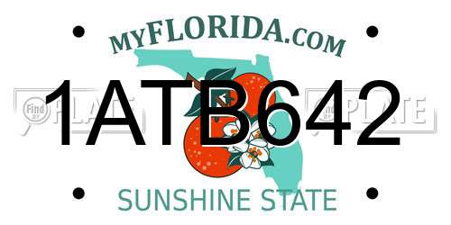 1ATB642 Florida License Plate
