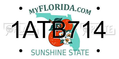1ATB714 Florida License Plate