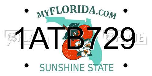 1ATB729 Florida License Plate