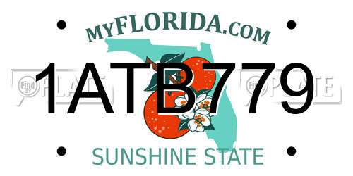 1ATB779 Florida License Plate